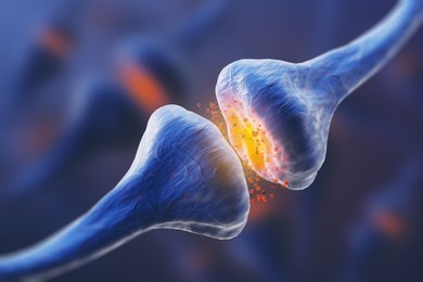 two neuron and sinapse, sending electrical and chemical signals. 3d rendering