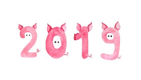 cute numbers 2019 with pig nose, ears, tales. funny hand drawn new year card in pig style