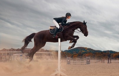equestrian sport - a young girl is riding a horse