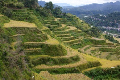 banaue rice terraces, philippine cordilleras