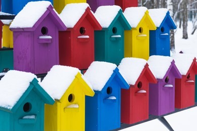 apartment building for birds. beautiful multi-colored birdhouses. winter.