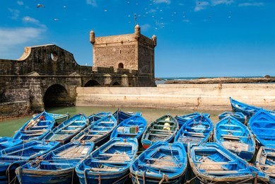 a fleet of blue fishing boats huddled together in the port of essaouira in morocco. you can also see the fortifications and a tower of the citadel of mogador