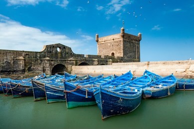 a fleet of blue fishing boats huddled together in the port of essaouira in morocco. you can also see the fortifications and a tower of the citadel of mogador