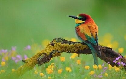beautiful natural landscape