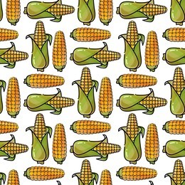seamless pattern with corn. vector background in autumn style. thanksgiving holiday texture on white.