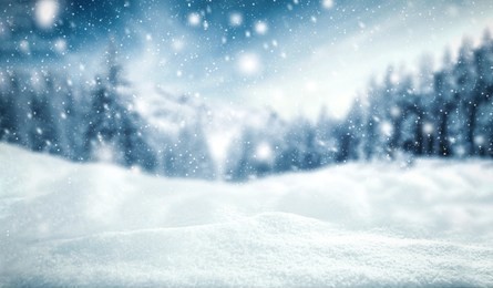 winter background of snow and frost with free space for your decoration. 