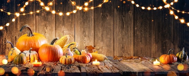 thanksgiving with pumpkins and corncob on wooden table