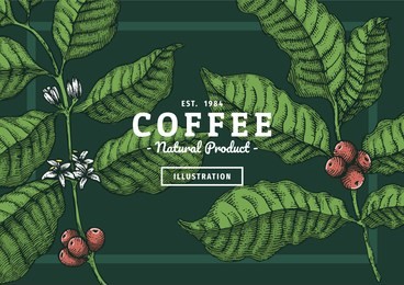 vintage coffee leaf illustration with color for poster or another template design. vector and illustration.