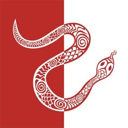 snake pattern vector illustration