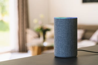 voice controlled smart speaker