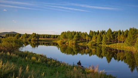 the national forest park of saihanba,hebei,china,asia