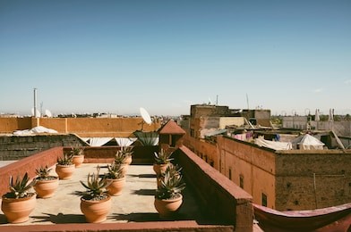 aerial panoramic view of medina streets in marrakech, morocco. cactus ceramic pots on a roof terrace.