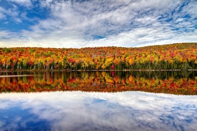fall lake reflection 