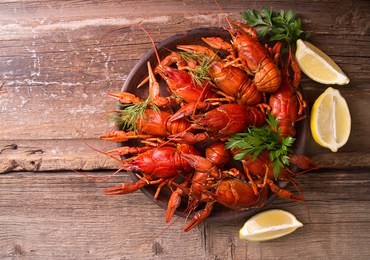 beer party. still life with crayfish crawfish on old wooden rustic background. top view. overhead. copy space.