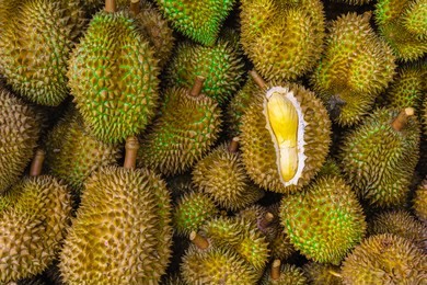 group of fresh durians in the durian market.