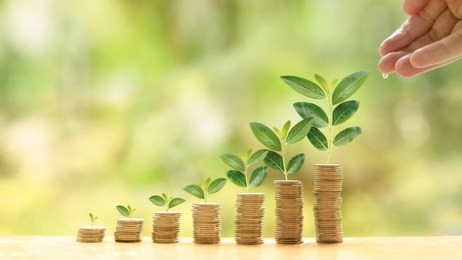 concept of investment like a growing plant. a hand of investor give water for investing fund. it is collect coin and golden bokeh background. it is wallpaper or backdrop for investment and cumulative