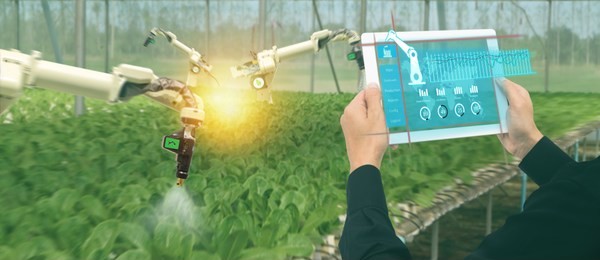 iot smart industry robot 4.0 agriculture concept,industrial agronomist,farmer using software artificial intelligence technology in tablet to monitoring condition and control automatic robotics in farm