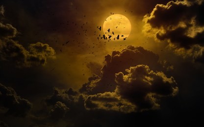 dramatic mystical background - glowing full moon rises, flock of crows flies in dark sky. elements of this image furnished by nasa
