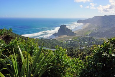 view of the black sand piha beach near auckland in the north island, new zealand