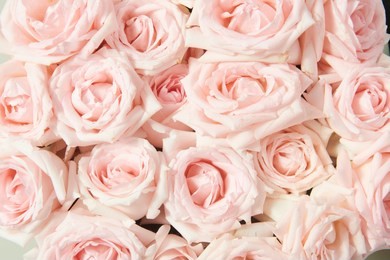 roses background wallpaper