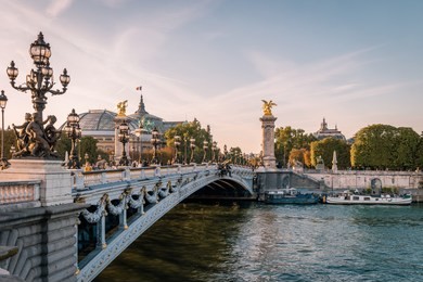 view on the famous landmark alexander iii bridge in paris, capital of france