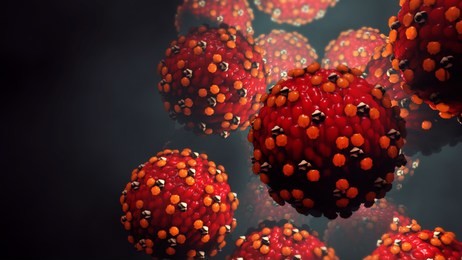 3d illustration measles virus or virus