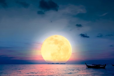 family reunion day concept: chinese traditional festival mid-autumn festival