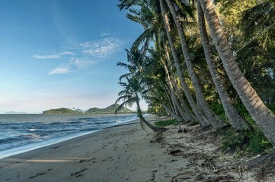palm cove beach in cairns queensland, australia
