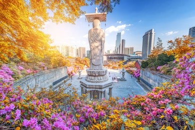 autumn of bongeunsa temple during the summer in the gangnam district of seoul, south korea.