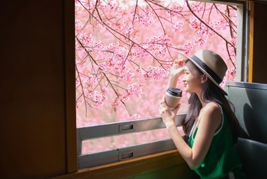 young pretty woman traveling by the japan old train sitting near the window on sakura bakground nature views,travel concept.