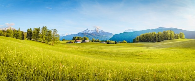beautiful view of idyllic alpine mountain scenery with blooming meadows and snowcapped mountain peaks on a beautiful sunny day with blue sky in springtime