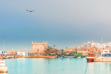 view on boats in the port of essaouira in morocco