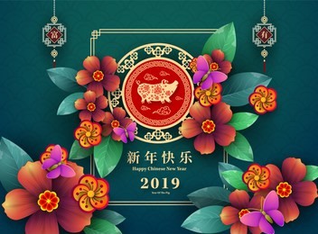 happy chinese new year 2019 year of the pig paper cut style. chinese characters mean happy new year, wealthy, zodiac sign for greetings card, flyers, invitation, posters, brochure, banners, calendar.