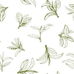 seamless pattern with green tea, hand-drawn leaves and branches of tea