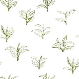 seamless pattern with green tea, hand-drawn leaves and branches of tea
