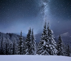 forest on a mountain ridge covered with snow. milky way in a starry sky. christmas winter night.