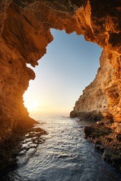 inside of mainsail. nature composition.