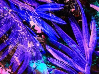 neon abstract hand painted background, vibrant colors of tropical leaves, texture, wallpaper.