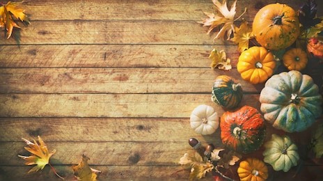 thanksgiving pumpkins with fruits and falling leaves on rustic wooden table