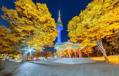 fall color change in seoul and n seoul tower  in autumn at night, seoul city, south korea