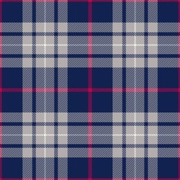 tartan seamless pattern. vector background
