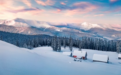 frosty winter sunrise in carpathian mountains with snow covered fir trees. dreamy outdoor panorama, happy new year celebration concept. artistic style post processed photo. 