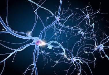 nerve cell anatomy in details. 3d illustration