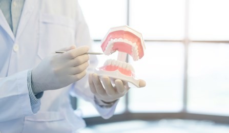 close up dentist holding teeth model denture and explorer mirror tool for showing and explaining to patient at clinic office , healthcare concept