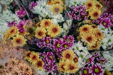 bright colorful flowers close-up from above. beautiful natural background