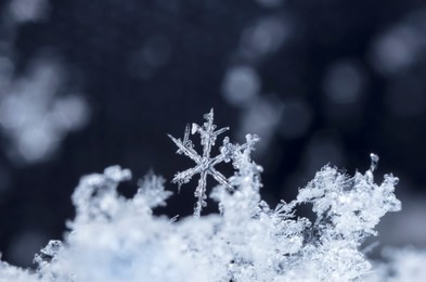 snowflake in the snow, winter