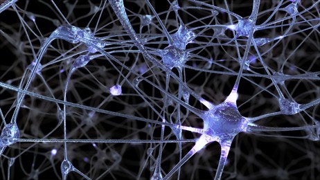 3d rendering of a network of neuron cells and synapses through which electrical impulses and discharges pass during the transmission of information inside the human brain