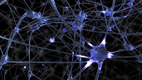 3d rendering of a network of neuron cells and synapses through which electrical impulses and discharges pass during the transmission of information inside the human brain