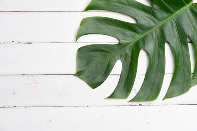 aromatherapy  product  spa set, flat lay composition.tropical leaf concept style., massage with pink background. top view.monstera leaves template, tropical summer fashion background.