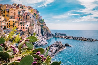 manarola village, cinque terre coast italy. manarola is a beautiful small colorful town province of la spezia, liguria, north of italy and one of the five cinque terre national park